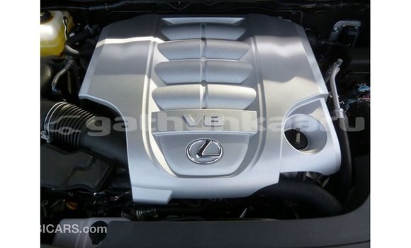 Buy Import Lexus LX Other Car in Import - Dubai in Baa Buy Import Lexus LX Other Car in Import - Dubai in Baa
