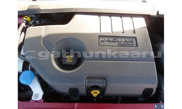 Buy Import Jaguar E-Pace Red Car in Import - Dubai in Baa Buy Import Jaguar E-Pace Red Car in Import - Dubai in Baa