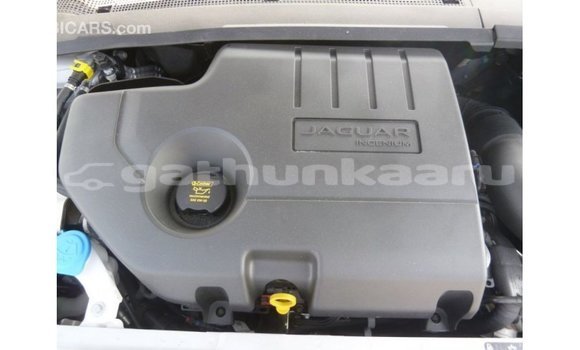 Buy Import Jaguar E-Pace White Car in Import - Dubai in Baa Buy Import Jaguar E-Pace White Car in Import - Dubai in Baa