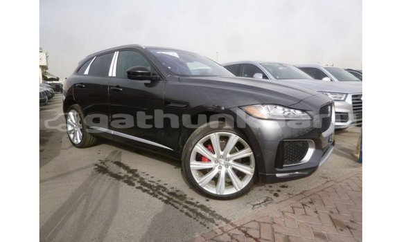Buy Import Jaguar F-Type Black Car in Import - Dubai in Baa