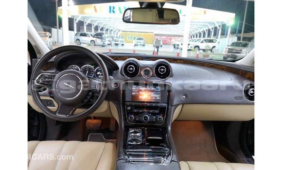 Buy Import Jaguar XJ Black Car in Import - Dubai in Baa Buy Import Jaguar XJ Black Car in Import - Dubai in Baa