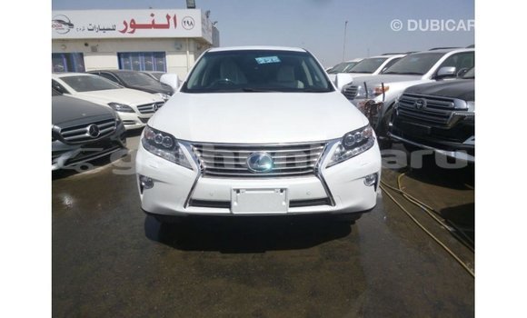 Buy Import Lexus RX White Car in Import - Dubai in Baa Buy Import Lexus RX White Car in Import - Dubai in Baa