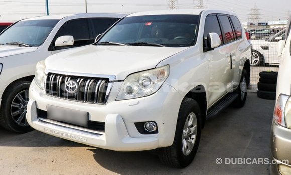 Buy Import Toyota Prado White Car in Import - Dubai in Baa Buy Import Toyota Prado White Car in Import - Dubai in Baa