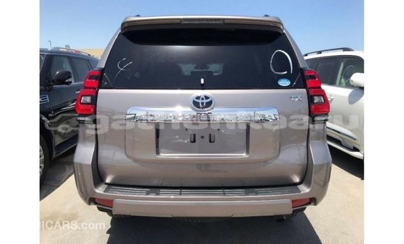 Buy Import Toyota Prado Brown Car in Import - Dubai in Baa Buy Import Toyota Prado Brown Car in Import - Dubai in Baa