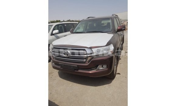 Buy Import Toyota Land Cruiser Brown Car in Import - Dubai in Baa Buy Import Toyota Land Cruiser Brown Car in Import - Dubai in Baa