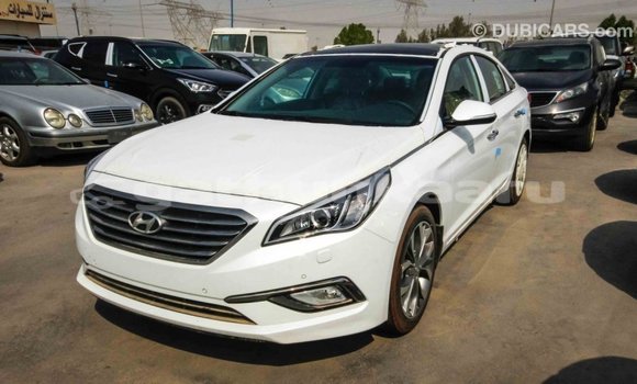 Buy Import Hyundai Sonata White Car in Import - Dubai in Baa Buy Import Hyundai Sonata White Car in Import - Dubai in Baa