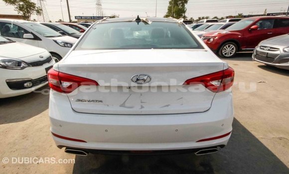 Buy Import Hyundai Sonata White Car in Import - Dubai in Baa Buy Import Hyundai Sonata White Car in Import - Dubai in Baa