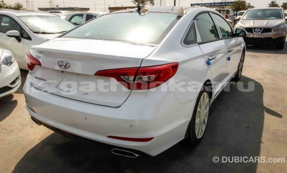 Buy Import Hyundai Sonata White Car in Import - Dubai in Baa Buy Import Hyundai Sonata White Car in Import - Dubai in Baa