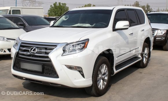 Buy Import Lexus GX White Car in Import - Dubai in Baa Buy Import Lexus GX White Car in Import - Dubai in Baa