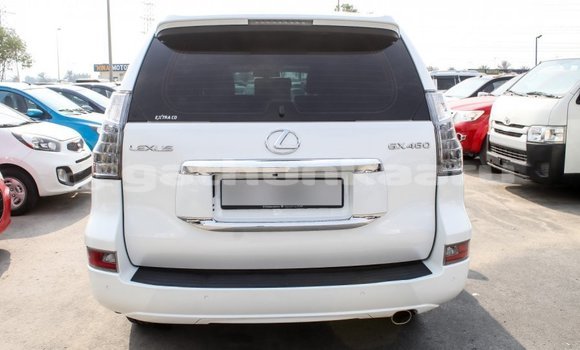 Buy Import Lexus GX White Car in Import - Dubai in Baa Buy Import Lexus GX White Car in Import - Dubai in Baa