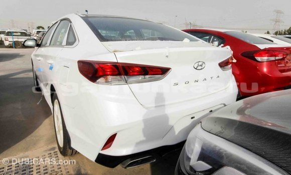Buy Import Hyundai Sonata White Car in Import - Dubai in Baa Buy Import Hyundai Sonata White Car in Import - Dubai in Baa