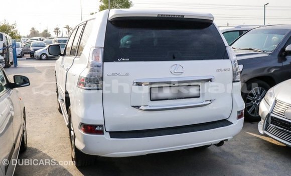 Buy Import Lexus GX White Car in Import - Dubai in Baa Buy Import Lexus GX White Car in Import - Dubai in Baa
