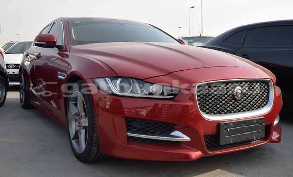 Buy Import Jaguar XE Red Car in Import - Dubai in Baa