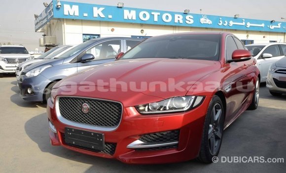 Buy Import Jaguar XE Red Car in Import - Dubai in Baa Buy Import Jaguar XE Red Car in Import - Dubai in Baa