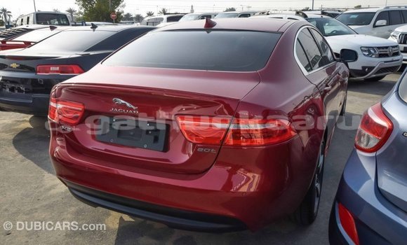 Buy Import Jaguar XE Red Car in Import - Dubai in Baa Buy Import Jaguar XE Red Car in Import - Dubai in Baa