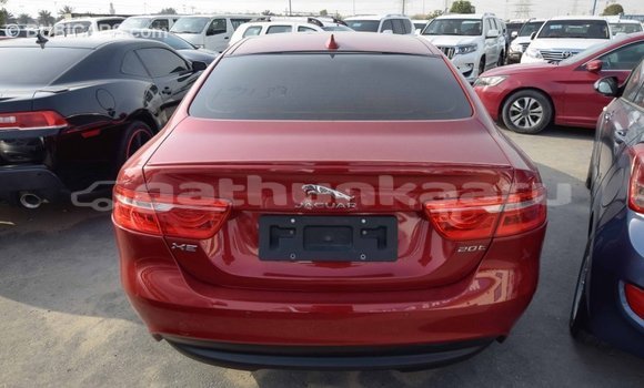 Buy Import Jaguar XE Red Car in Import - Dubai in Baa Buy Import Jaguar XE Red Car in Import - Dubai in Baa