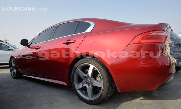 Buy Import Jaguar XE Red Car in Import - Dubai in Baa Buy Import Jaguar XE Red Car in Import - Dubai in Baa