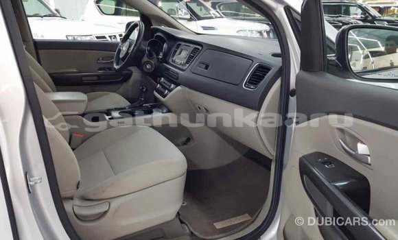 Buy Import Kia Carnival Other Car in Import - Dubai in Baa Buy Import Kia Carnival Other Car in Import - Dubai in Baa
