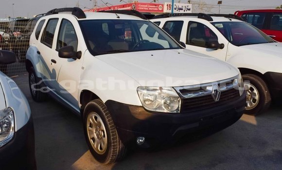 Buy Import Renault Duster White Car in Import - Dubai in Baa