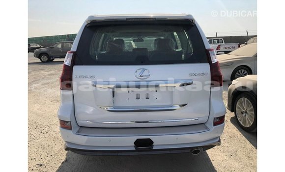 Buy Import Lexus GX White Car in Import - Dubai in Baa Buy Import Lexus GX White Car in Import - Dubai in Baa