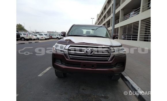 Buy Import Toyota Land Cruiser Brown Car in Import - Dubai in Baa Buy Import Toyota Land Cruiser Brown Car in Import - Dubai in Baa