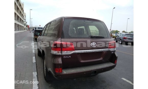 Buy Import Toyota Land Cruiser Brown Car in Import - Dubai in Baa Buy Import Toyota Land Cruiser Brown Car in Import - Dubai in Baa