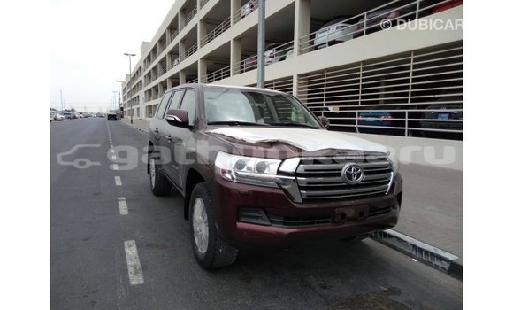 Buy Import Toyota Land Cruiser Brown Car in Import - Dubai in Baa Buy Import Toyota Land Cruiser Brown Car in Import - Dubai in Baa