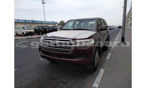 Buy Import Toyota Land Cruiser Brown Car in Import - Dubai in Baa Buy Import Toyota Land Cruiser Brown Car in Import - Dubai in Baa