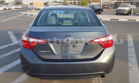 Buy Import Toyota Corolla Other Car in Import - Dubai in Baa Buy Import Toyota Corolla Other Car in Import - Dubai in Baa