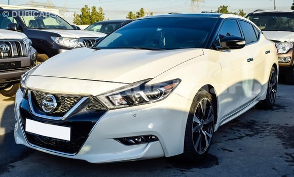 Buy Import Nissan Maxima White Car in Import - Dubai in Baa Buy Import Nissan Maxima White Car in Import - Dubai in Baa