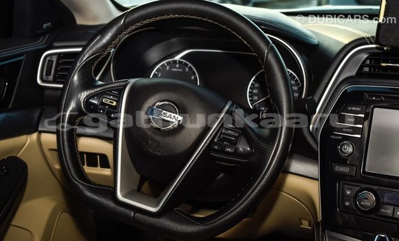 Buy Import Nissan Maxima White Car in Import - Dubai in Baa Buy Import Nissan Maxima White Car in Import - Dubai in Baa