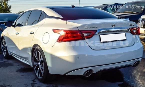 Buy Import Nissan Maxima White Car in Import - Dubai in Baa Buy Import Nissan Maxima White Car in Import - Dubai in Baa
