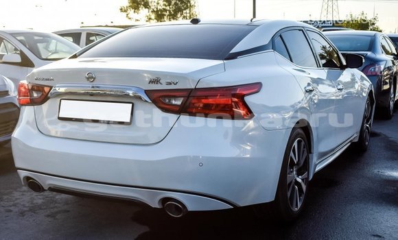 Buy Import Nissan Maxima White Car in Import - Dubai in Baa Buy Import Nissan Maxima White Car in Import - Dubai in Baa
