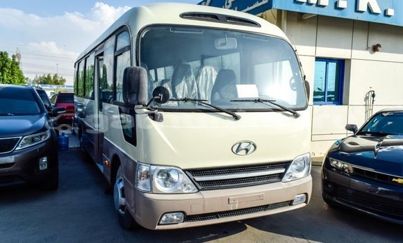 Buy Import Hyundai Chorus Beige Truck in Import - Dubai in Baa