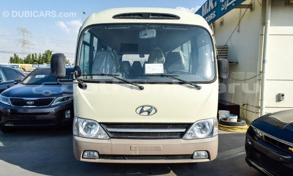 Buy Import Hyundai Chorus Beige Truck in Import - Dubai in Baa Buy Import Hyundai Chorus Beige Truck in Import - Dubai in Baa
