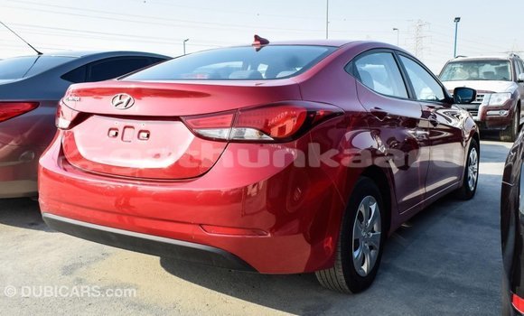 Buy Import Hyundai Elantra Red Car in Import - Dubai in Baa Buy Import Hyundai Elantra Red Car in Import - Dubai in Baa