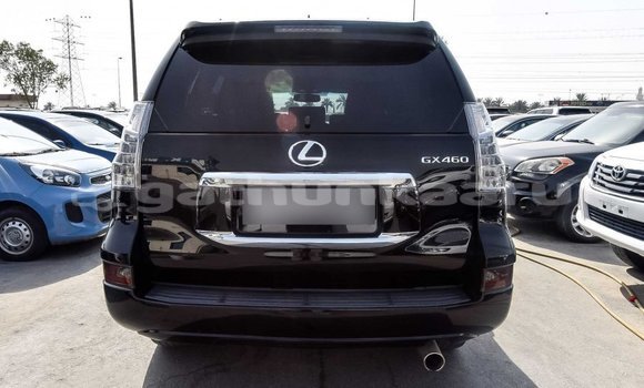 Buy Import Lexus GX Black Car in Import - Dubai in Baa Buy Import Lexus GX Black Car in Import - Dubai in Baa