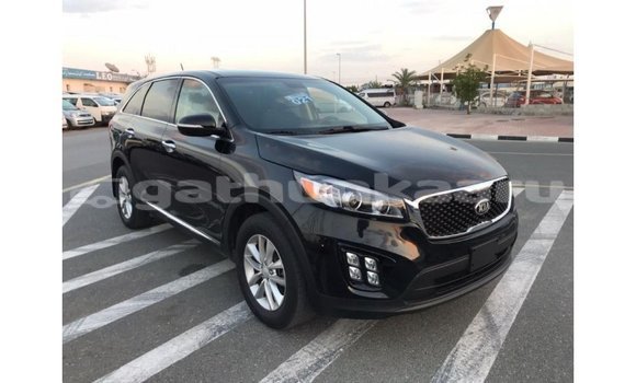 Buy Import Kia Sorento Black Car in Import - Dubai in Baa Buy Import Kia Sorento Black Car in Import - Dubai in Baa
