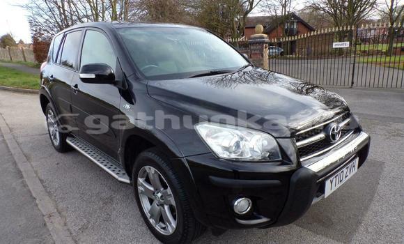 Buy Used Toyota RAV4 Black Car in Dhabidhoo in Laam Buy Used Toyota RAV4 Black Car in Dhabidhoo in Laam