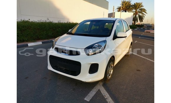 Buy Import Kia Picanto White Car in Import - Dubai in Baa Buy Import Kia Picanto White Car in Import - Dubai in Baa