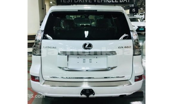 Buy Import Lexus GX White Car in Import - Dubai in Baa Buy Import Lexus GX White Car in Import - Dubai in Baa