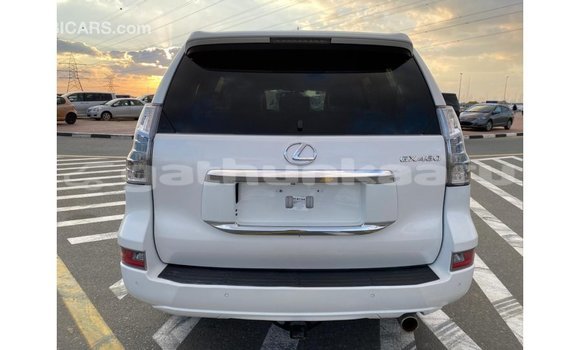 Buy Import Lexus GX White Car in Import - Dubai in Baa Buy Import Lexus GX White Car in Import - Dubai in Baa