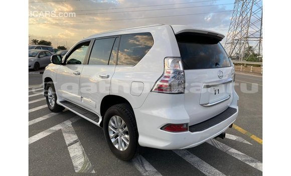 Buy Import Lexus GX White Car in Import - Dubai in Baa Buy Import Lexus GX White Car in Import - Dubai in Baa