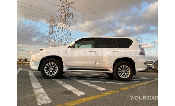 Buy Import Lexus GX White Car in Import - Dubai in Baa Buy Import Lexus GX White Car in Import - Dubai in Baa