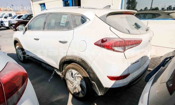 Buy Import Hyundai Tucson White Car in Import - Dubai in Baa Buy Import Hyundai Tucson White Car in Import - Dubai in Baa