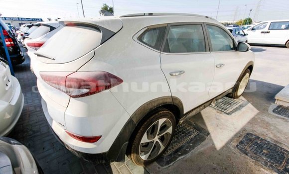 Buy Import Hyundai Tucson White Car in Import - Dubai in Baa Buy Import Hyundai Tucson White Car in Import - Dubai in Baa