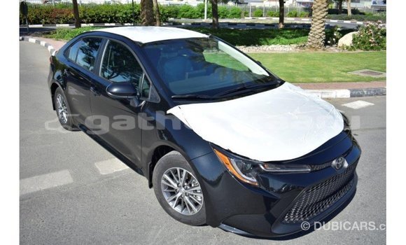 Buy Import Toyota Corolla Black Car in Import - Dubai in Baa Buy Import Toyota Corolla Black Car in Import - Dubai in Baa