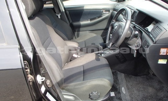 Buy Used Toyota Corolla Black Car in Felidhoo in Vaav Buy Used Toyota Corolla Black Car in Felidhoo in Vaav