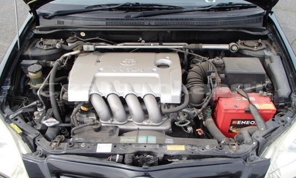 Buy Used Toyota Corolla Black Car in Felidhoo in Vaav Buy Used Toyota Corolla Black Car in Felidhoo in Vaav