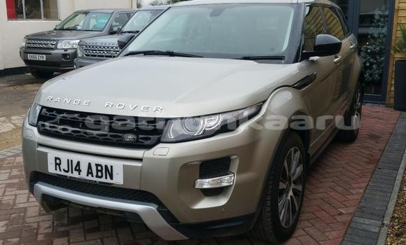 Buy Used Land Rover Range Rover Evoque Brown Car in Fainu in Raa Buy Used Land Rover Range Rover Evoque Brown Car in Fainu in Raa